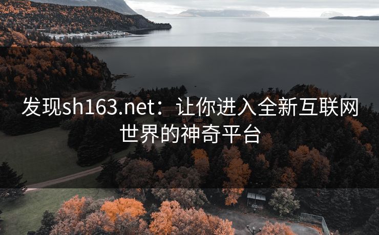 发现sh163.net：让你进入全新互联网世界的神奇平台