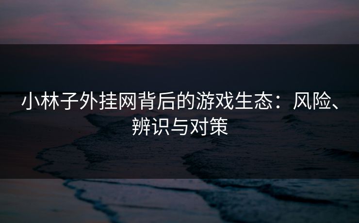 小林子外挂网背后的游戏生态：风险、辨识与对策