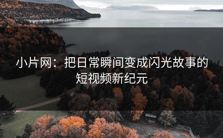 小片网：把日常瞬间变成闪光故事的短视频新纪元