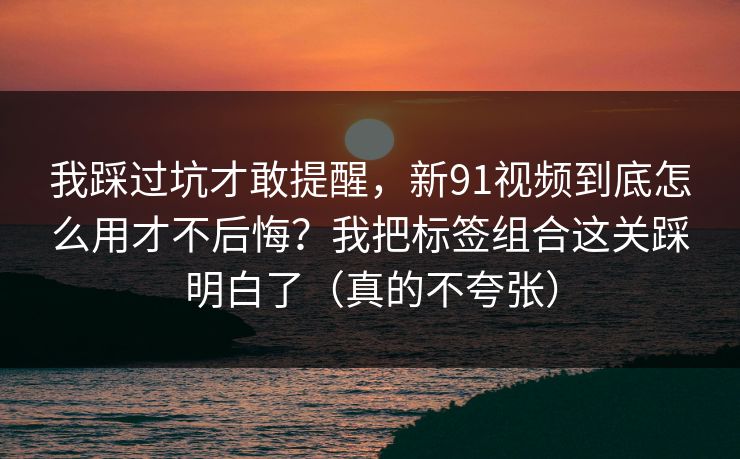 我踩过坑才敢提醒，新91视频到底怎么用才不后悔？我把标签组合这关踩明白了（真的不夸张）