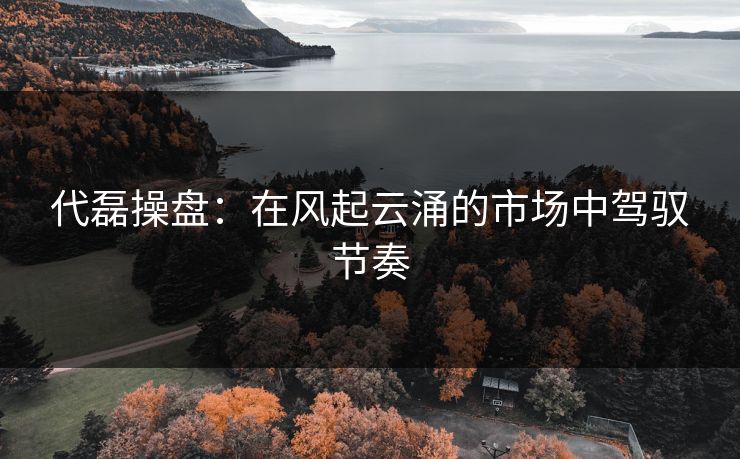 代磊操盘：在风起云涌的市场中驾驭节奏